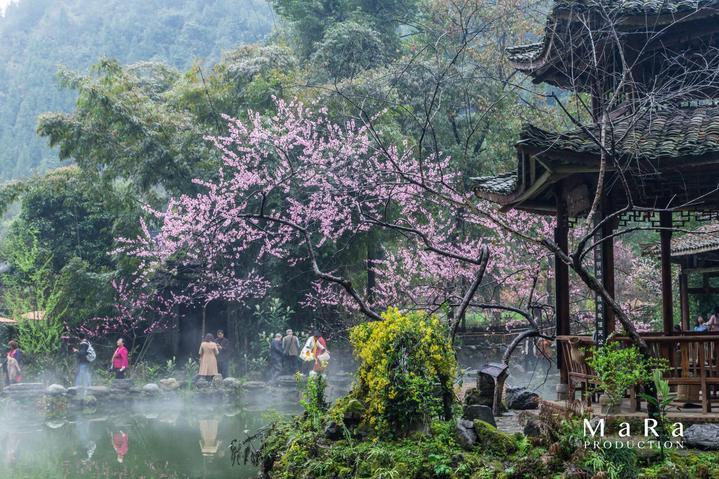 美人鱼生日会