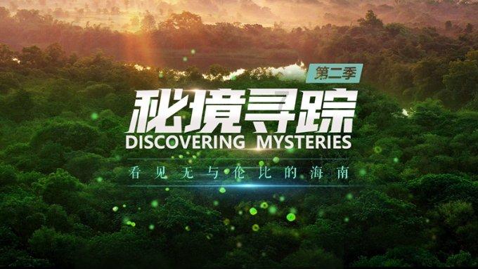 红树林逃生