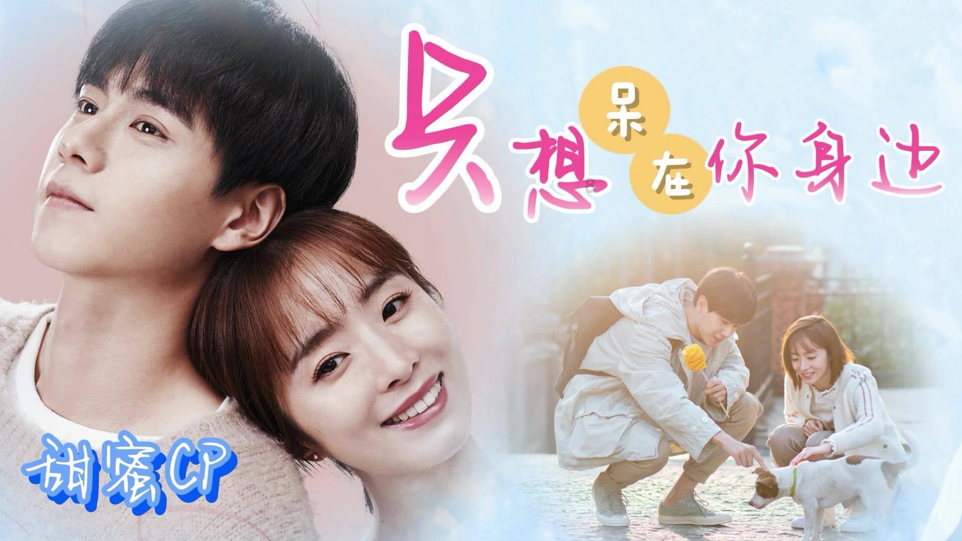 创作猫